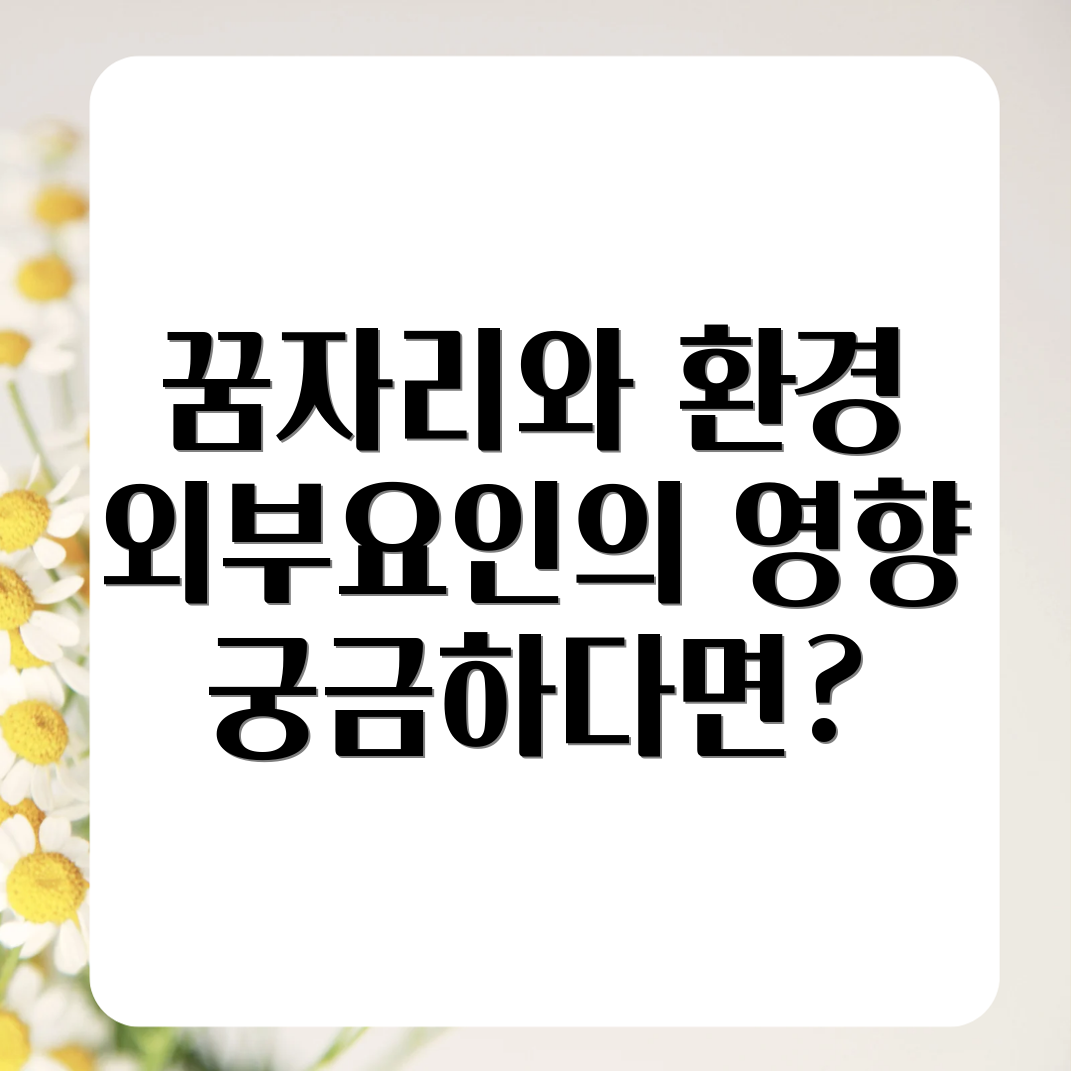 꿈과 환경