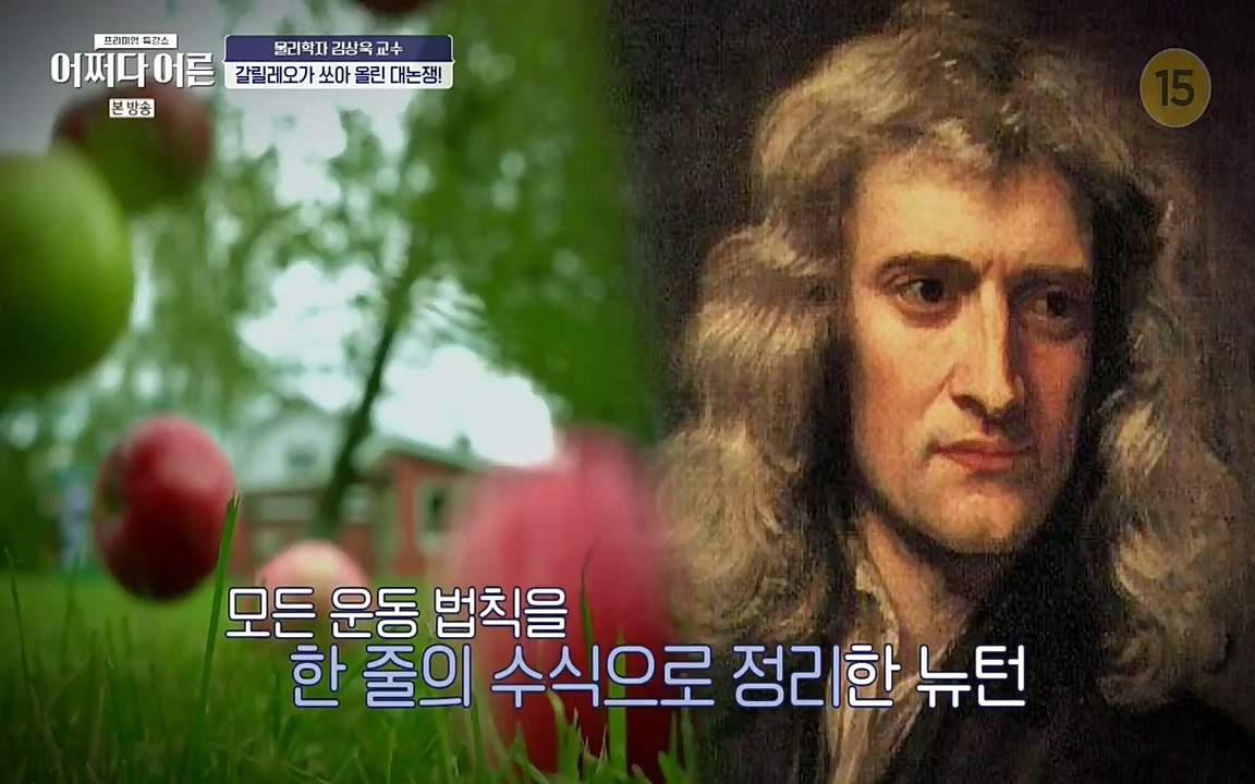 어쩌다 어른.E02.220617p-NEXT.mp4_20220828_143604.373.jpg