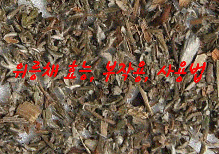  위릉채 효능, 사용법, 부작용