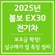 볼보 EX30 전기차
