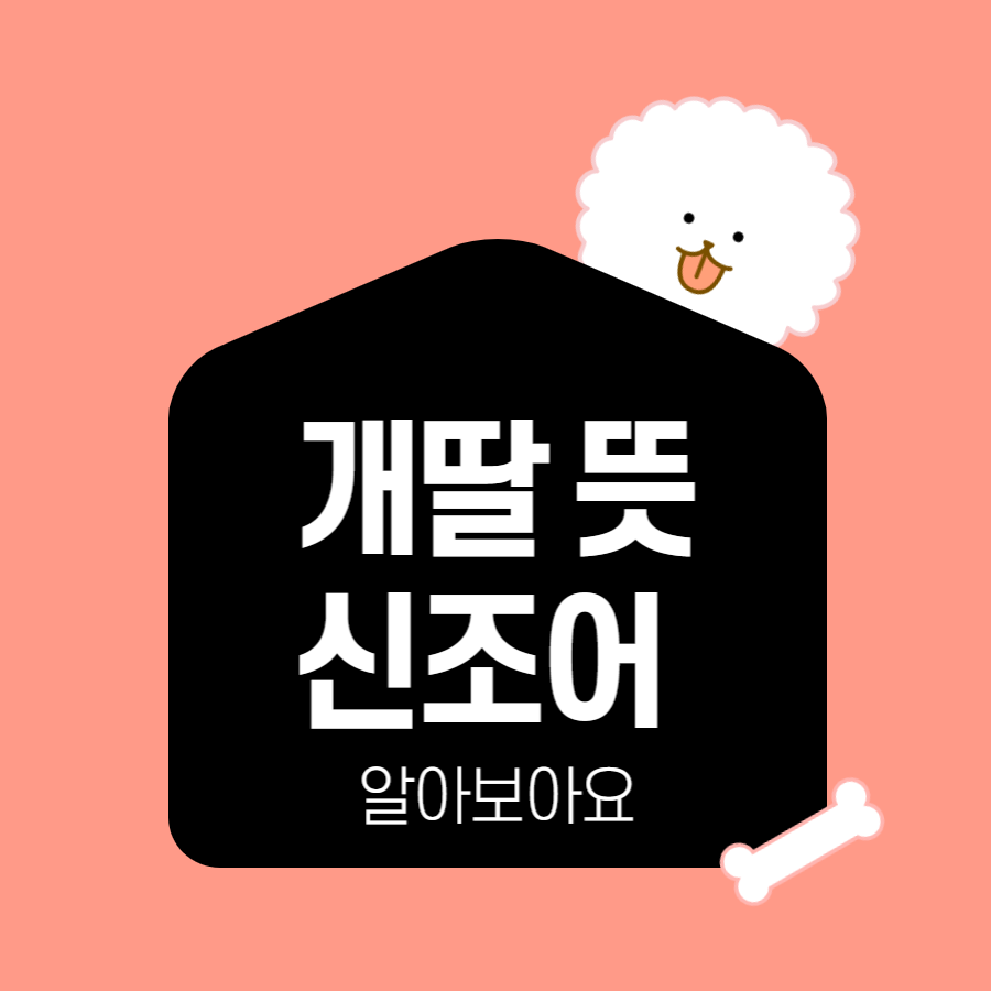  개딸 뜻 신조어