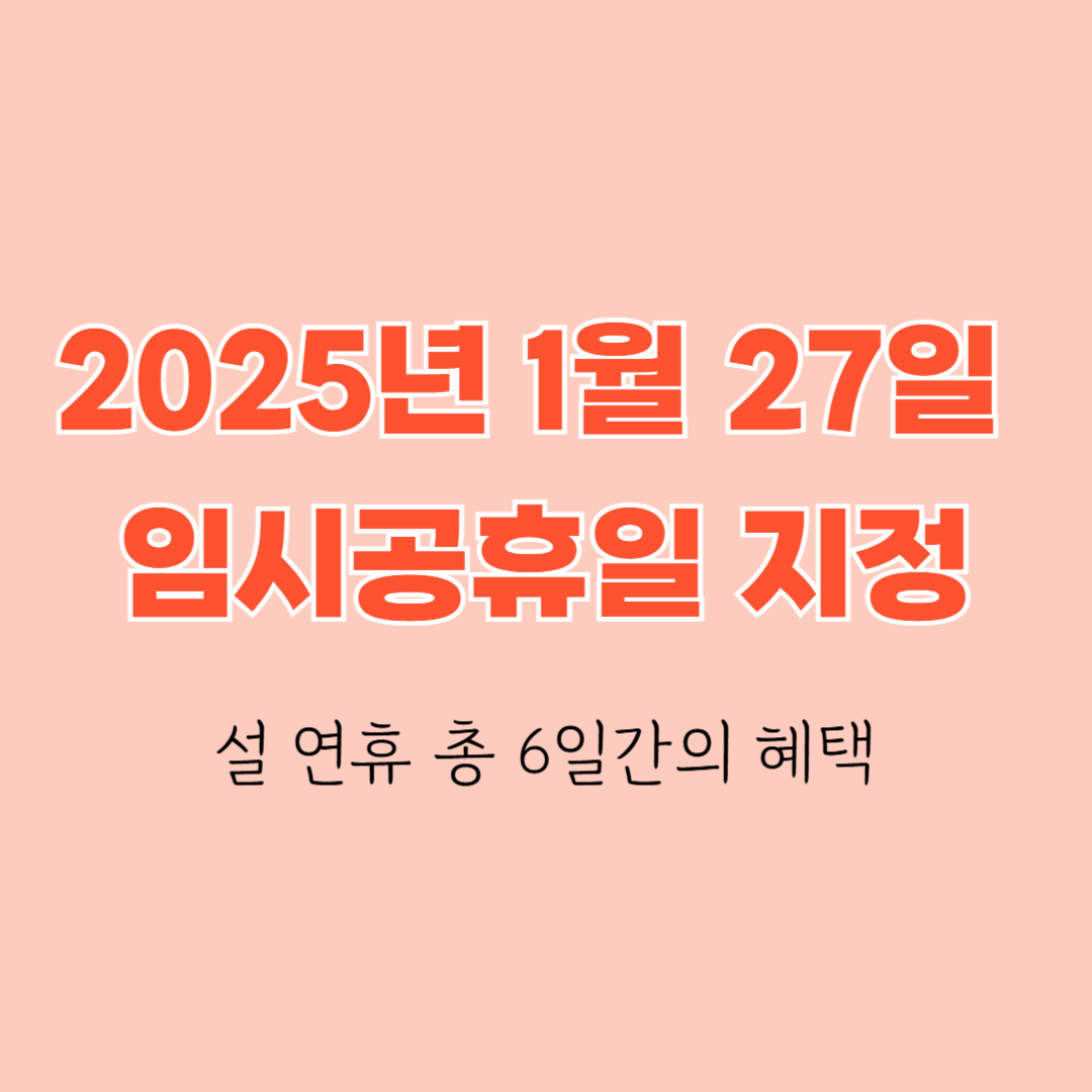 25년 1월 27일 임시공휴일