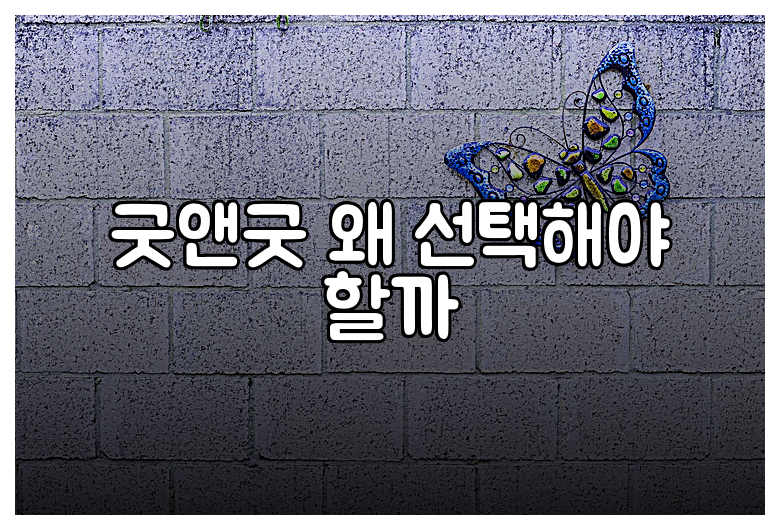 굿앤굿 왜 선택해야 할까