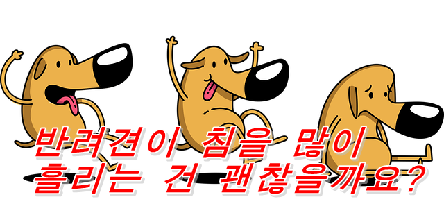  반려견이 침을 많이 흘리는 건 괜찮을까요?