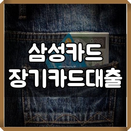 삼성카드 장기카드대출 신한카드 카드론