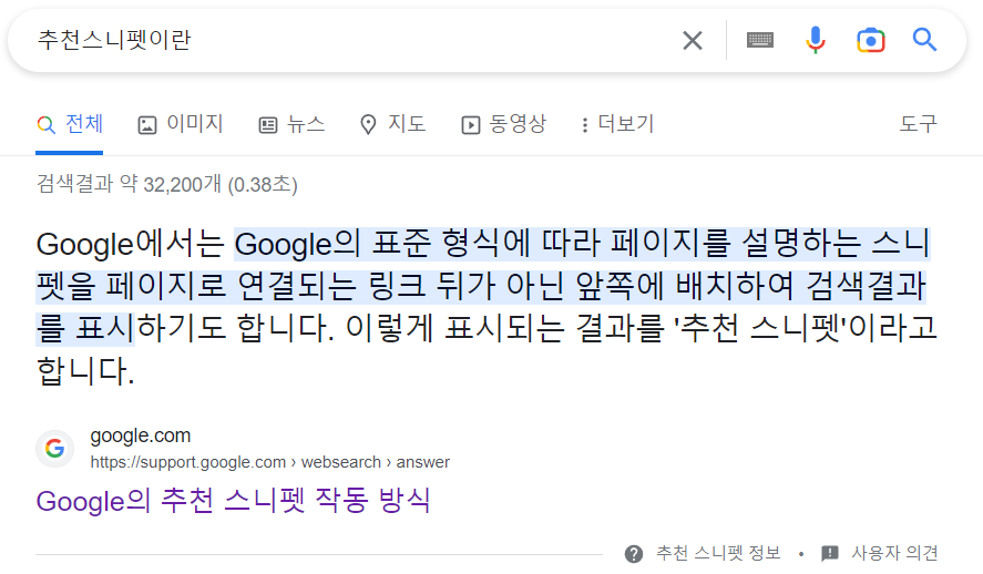 단락형 추천 스니펫