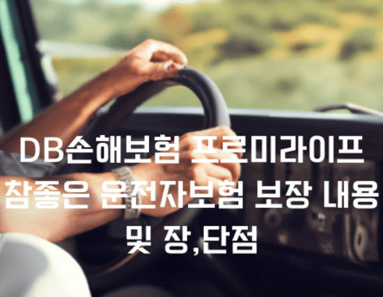 DB손해보험 프로미라이프 참좋은 운전자보험