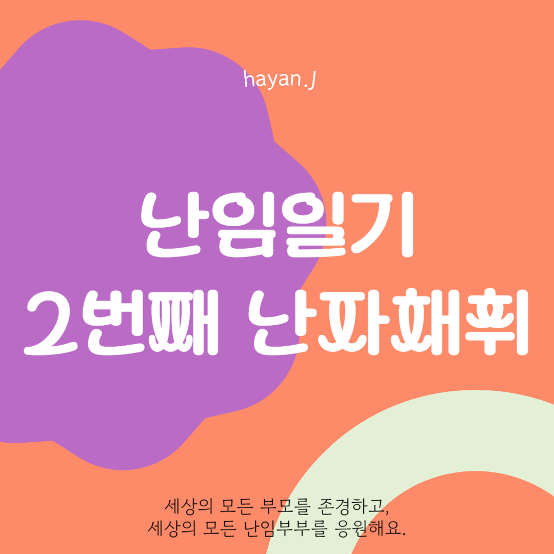  2번째 난자채취 준비 그리고 난자채취