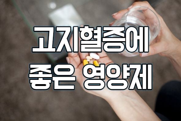  고지혈증에 좋은 영양제와 피해야 하는 것은?