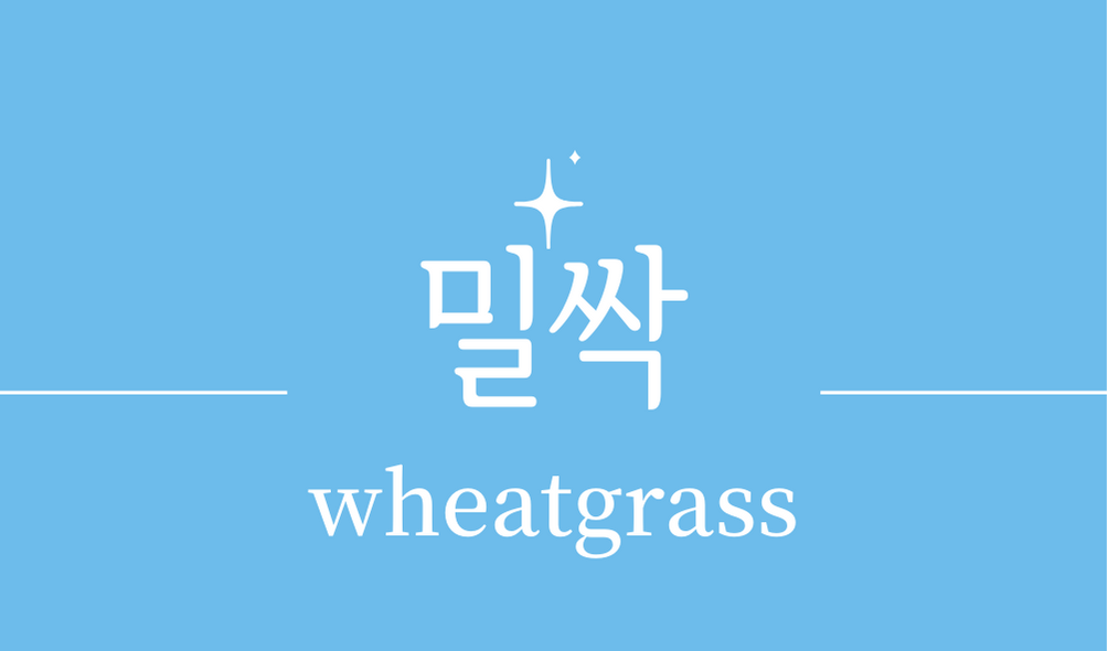 &#39;밀싹(wheatgrass)&#39;
