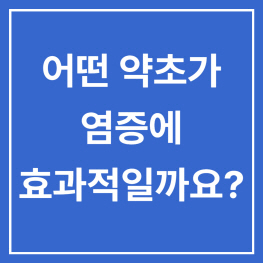  염증에 좋은 약초와 효능들