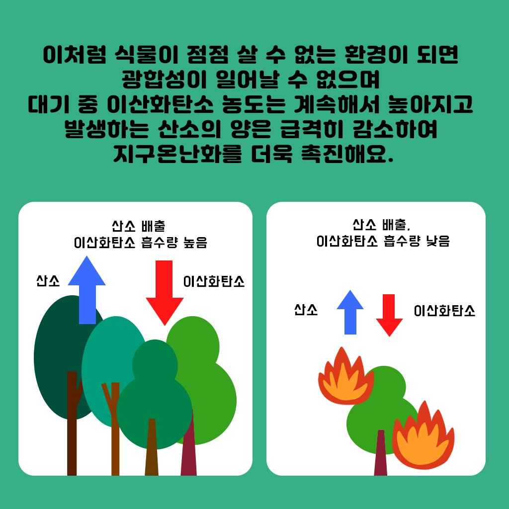 환경 기념일 세계 숲의 날 계기교육 자료 안내