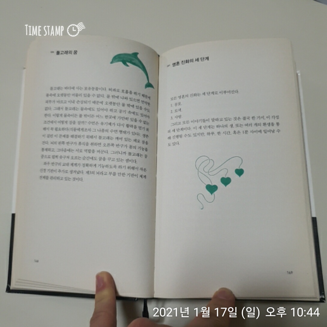 베르나르 베르베르의 상상력 사전, 영혼 진화의 세 단계
