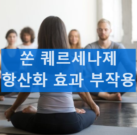 쏜 퀘르세나제 성분 퀘르세틴 브로멜라인 항산화 효과 부작용