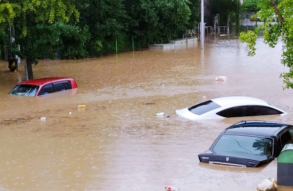 차량 절반 이상이 침수로 물에 잠겼다.