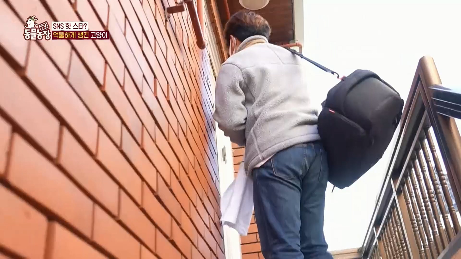 TV 동물농장.E1098.221204p.H264-F1RST.mp4_20221204_175410.054.jpg