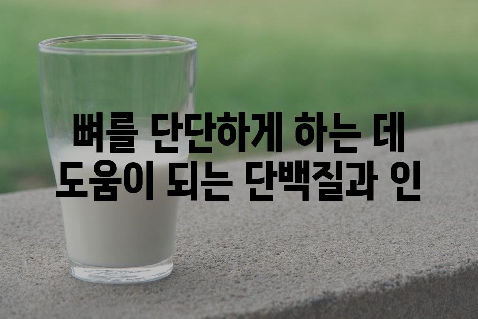 뼈를 단단하게 하는 데 도움이 되는 단백질과 인