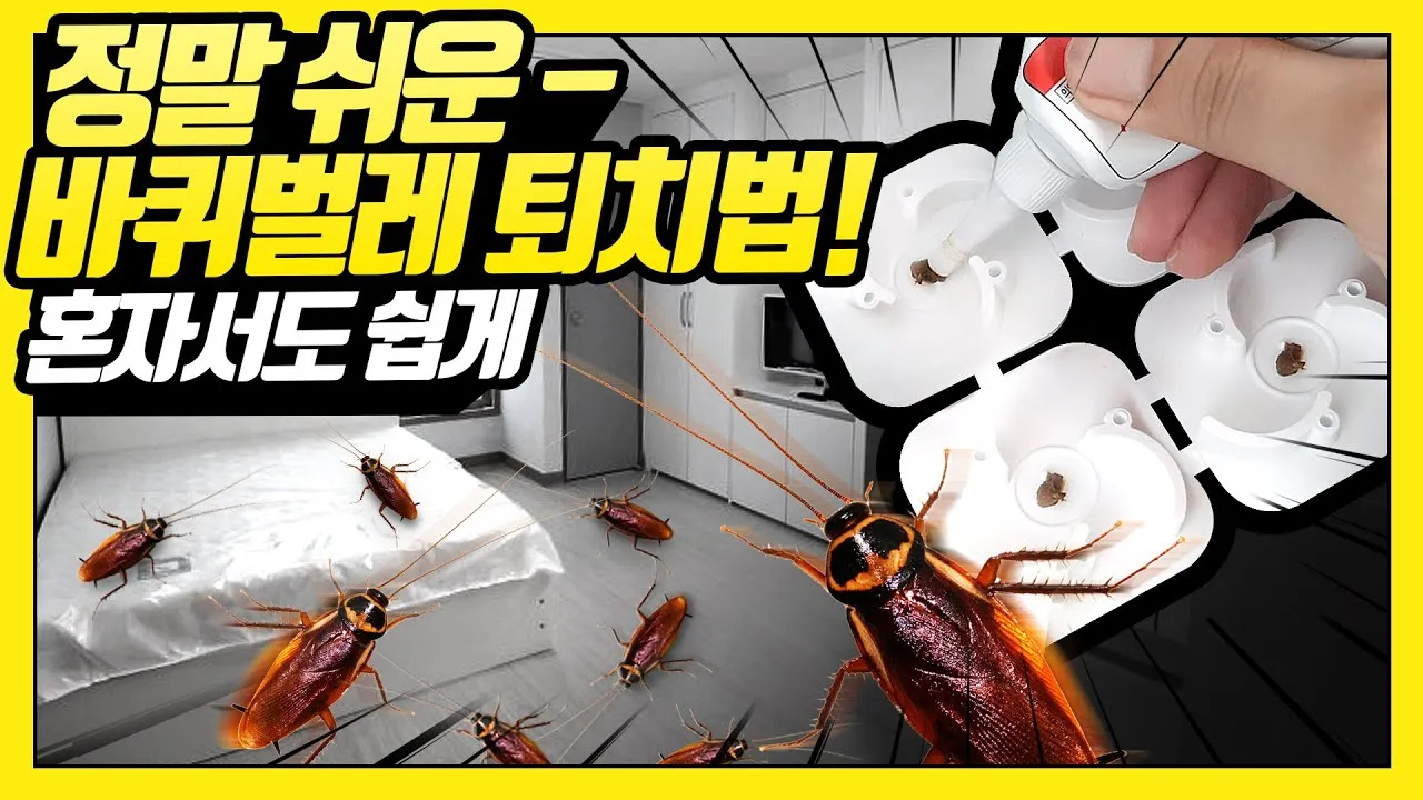 바퀴벌레 퇴치방법 총정리_9