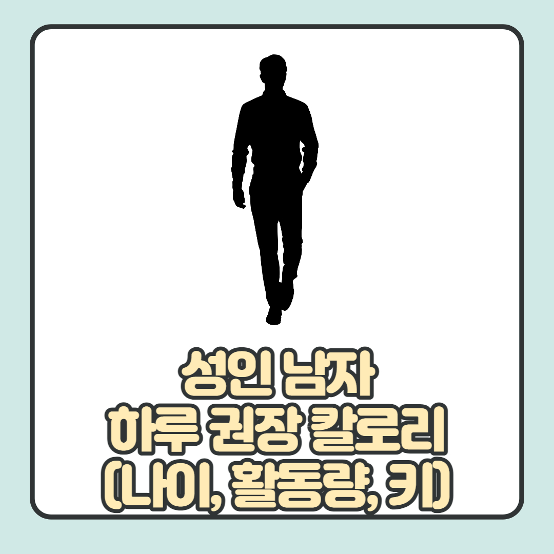  성인 남자 하루 권장 칼로리 3가지(나이, 키, 활동량) 총 정리
