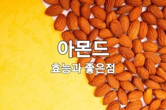 아몬드 효능 하루 섭취량 칼로리_9