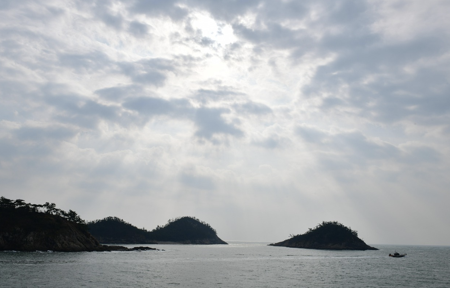 군산식도락 이미지