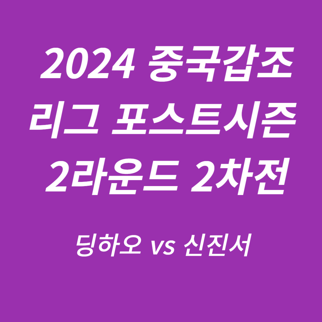 2024 중국 갑조리그 포스트시즌 2차전 딩하오 vs 신진서