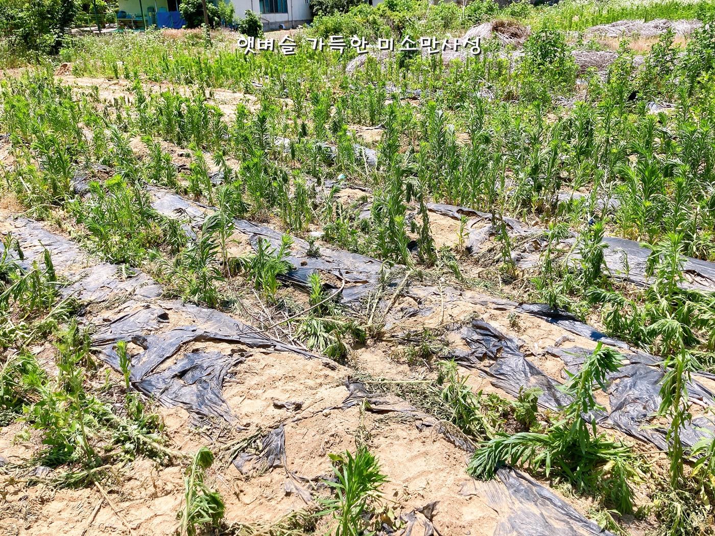 천리서희스타힐스 예정부지 - 공사진행상황