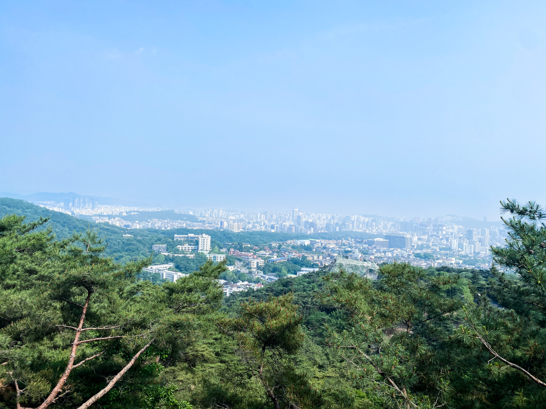 청와대 전망대