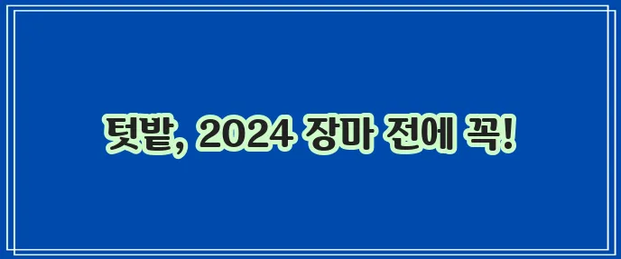 2024년 장마 기간, 텃밭 장마 대비가 중요합니다!