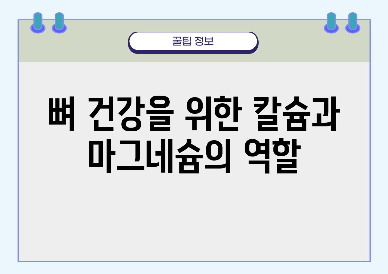 뼈 건강을 위한 칼슘과 마그네슘의 역할