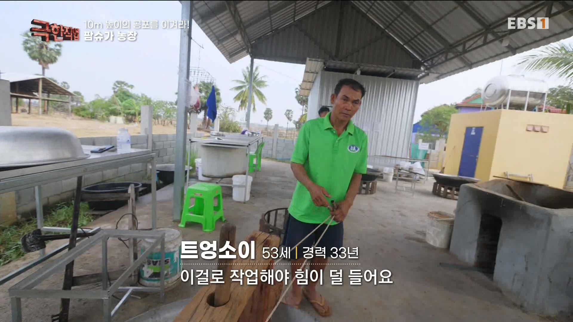 [극한 직업] 캄보디아 팜슈가 농장 230624.mp4_20230701_185225.699.jpg