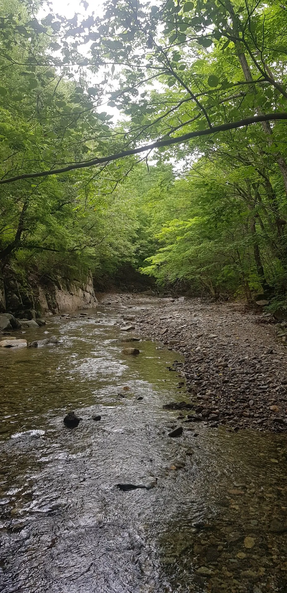 포항 동대산