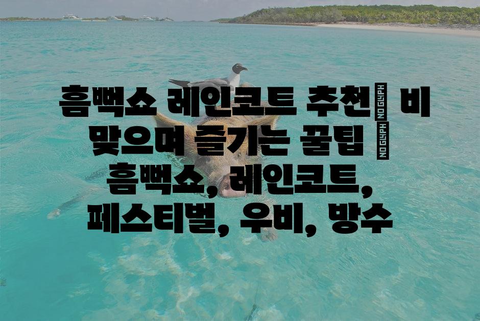 샘플 (1)