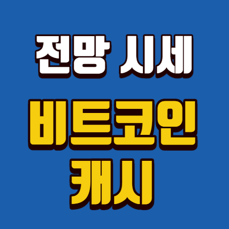  비트코인캐시 전망 시세 핵심정리