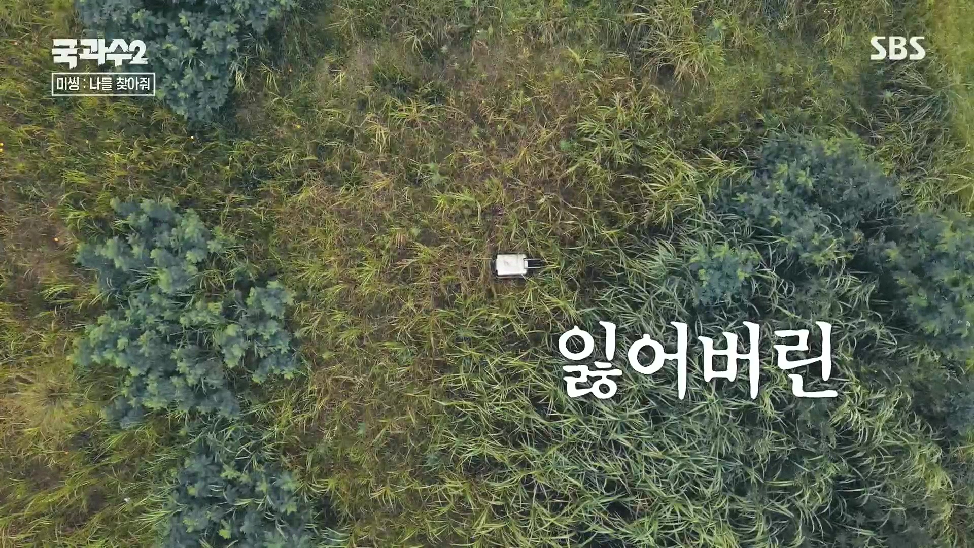 SBS 스페셜.E651.230903p.H264-F1RST.mp4_20230905_205655.254.jpg