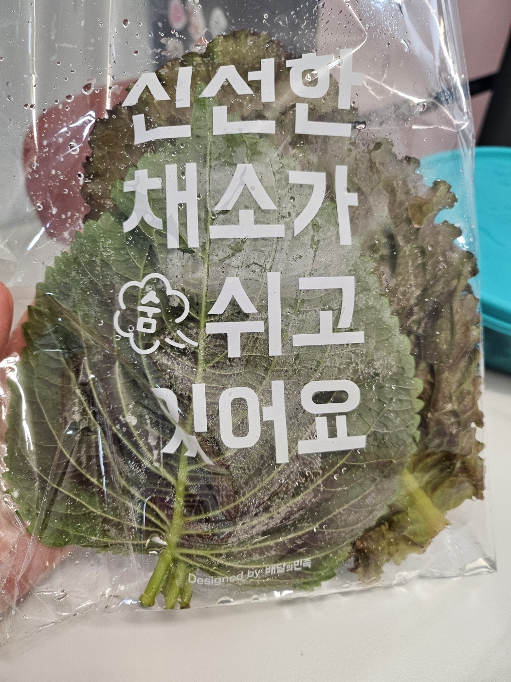 바다회센타 이미지