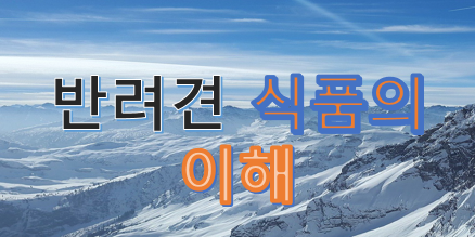  반려견 식품에 대한 이해