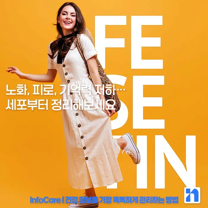 피세틴 효능 항산화 저속노화 노화방지 세놀리틱