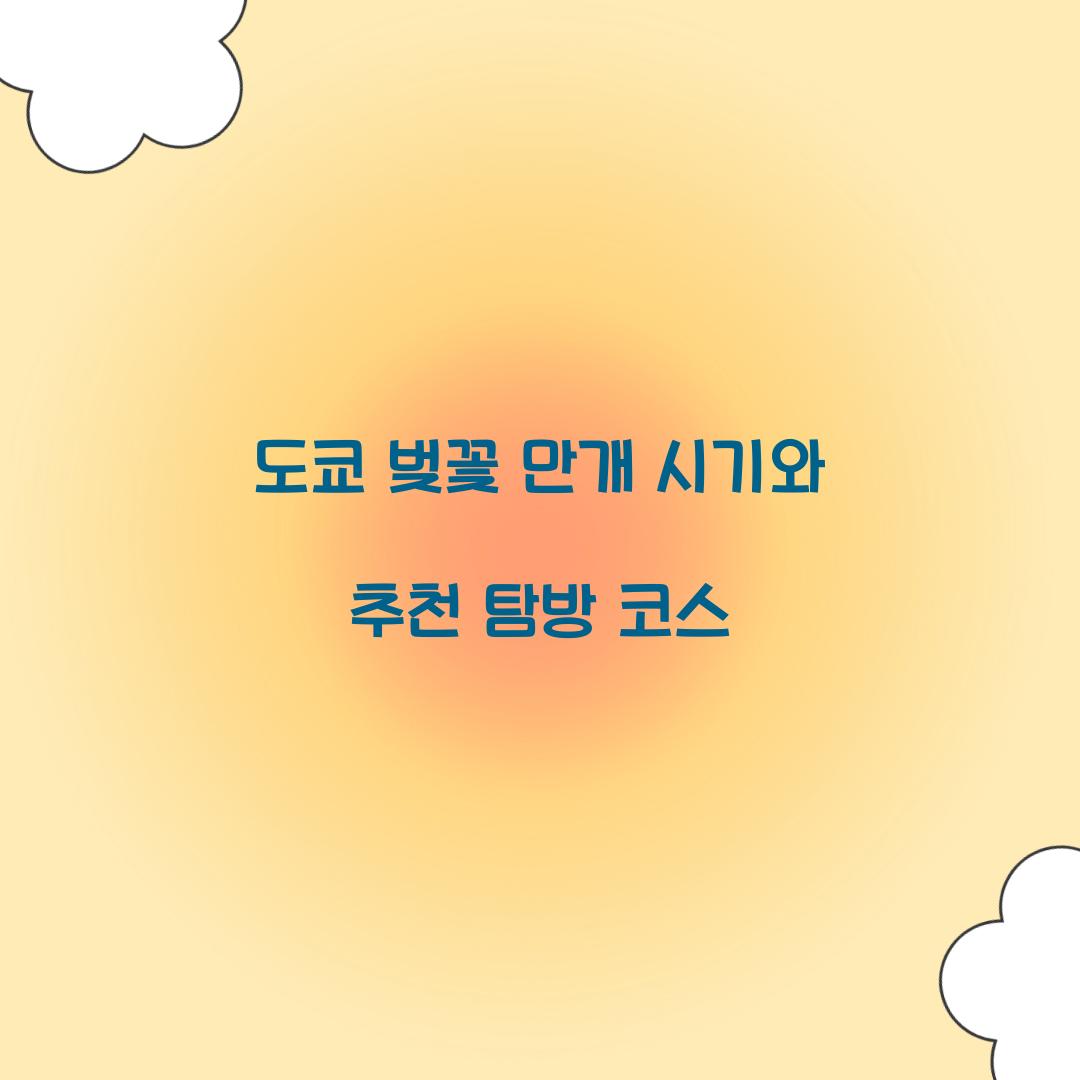 도쿄 벚꽃 만개