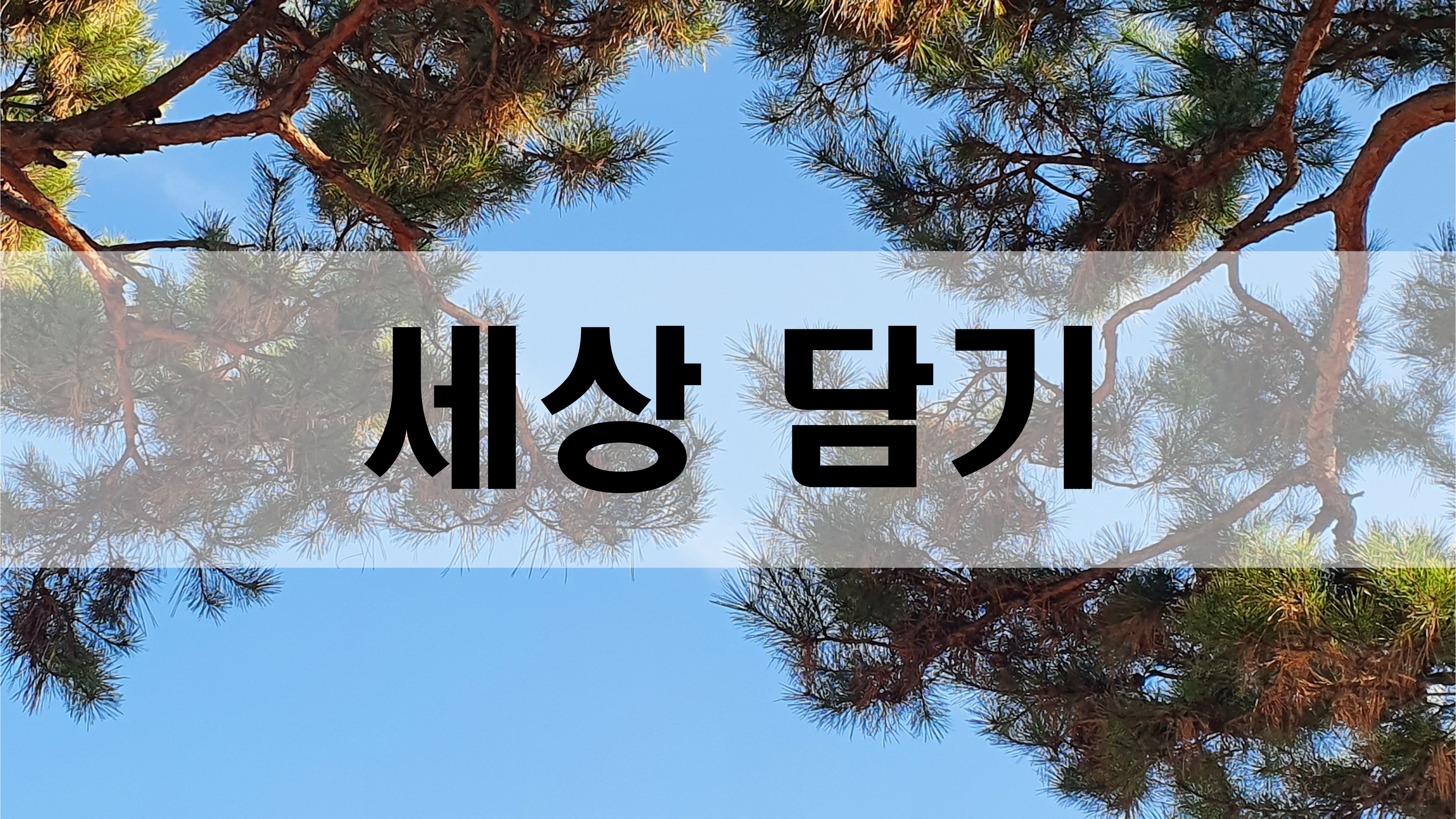  세상 담기 [성장 명언]