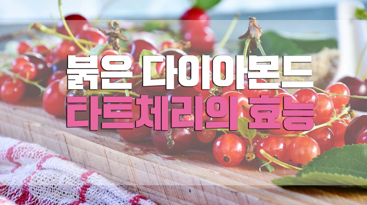  타트체리효능 제대로 알고 섭취하자