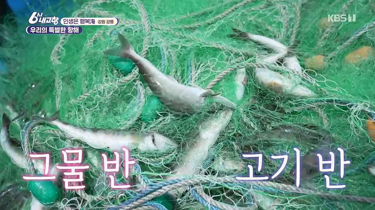 6시 내고향.E7748.230321p.H264-F1RST.mp4_20230321_202132.992.jpg