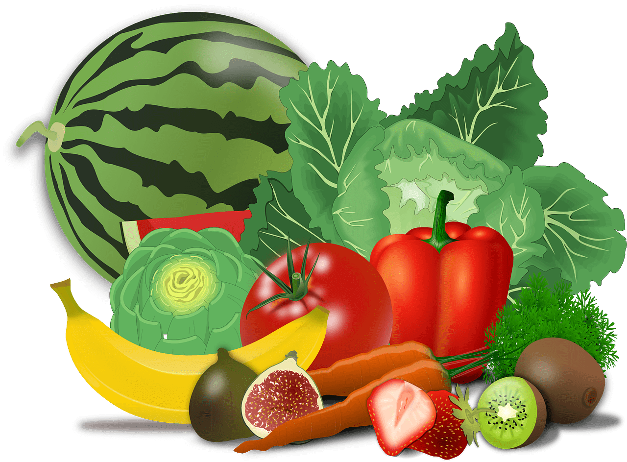 야채-채소를-그림으로-표현