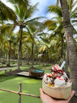 코코넛 아이스크림과 코코넛 나무와 사진