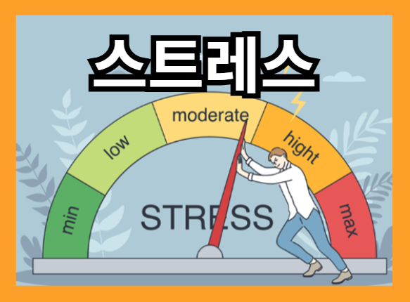 머리카락이 많이 빠지는 이유 - 호르몬 균형 파괴