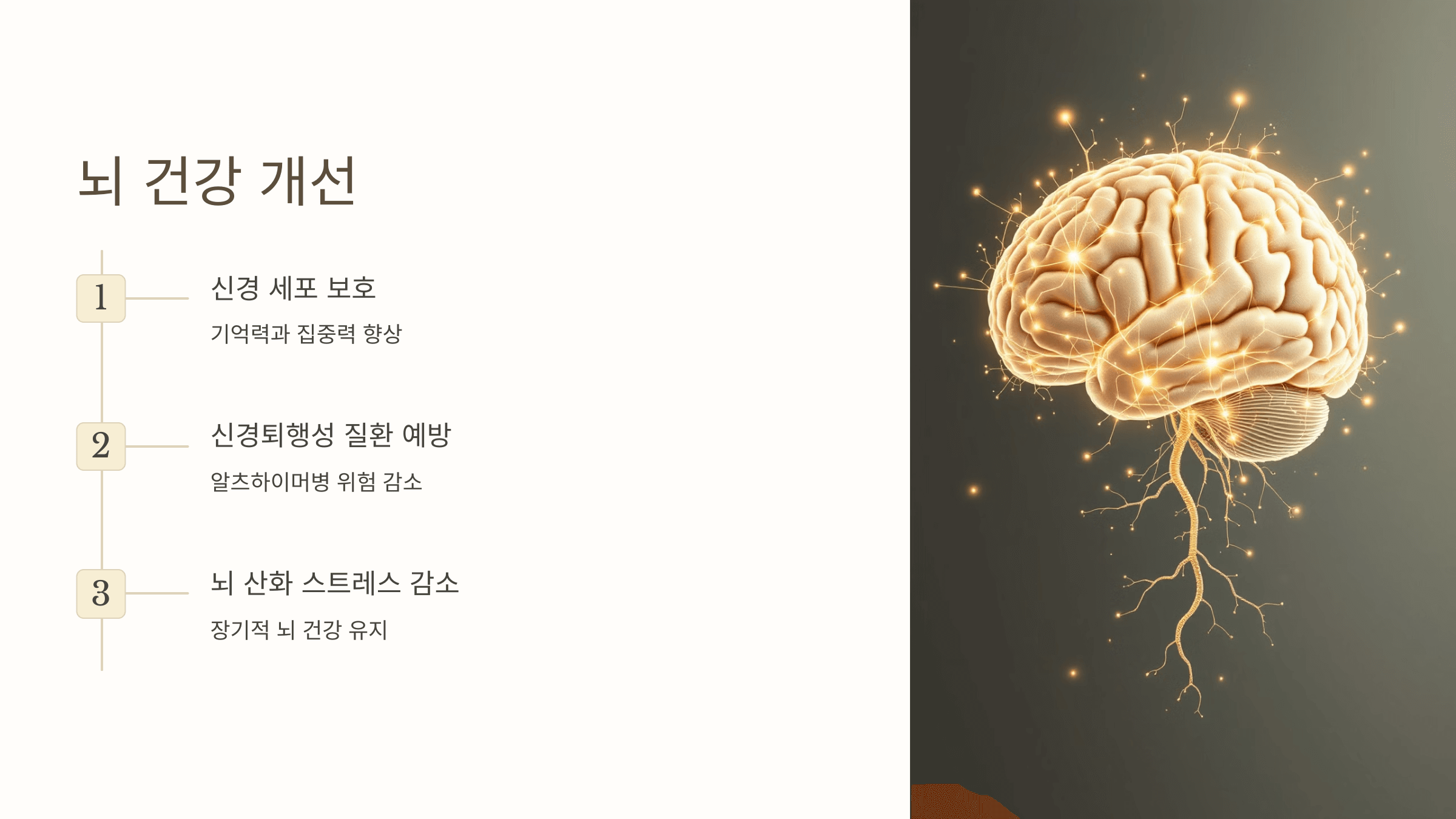 비타민C와 관련된 사진입니다.