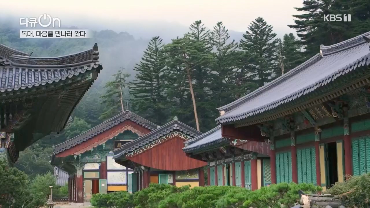 다큐 On.E221.231030p.H264-F1RST.mp4_20231031_202725.848.jpg