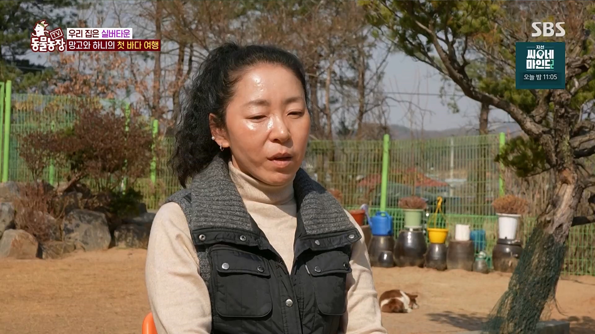 TV 동물농장.E1115.230409p.H264-F1RST.mp4_20230409_173058.025.jpg