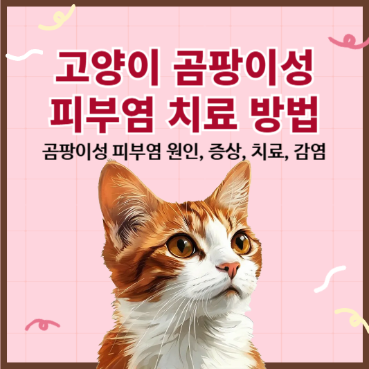 고양이 곰팡이성 피부염