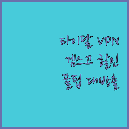 타이달 때문에 VPN 쓴다고? 겜스고
